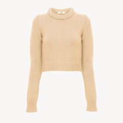 カシミアブレンド製クロップドジャンパー / セーター / コットンカシミア製 / ベージュ / 24AW NEW