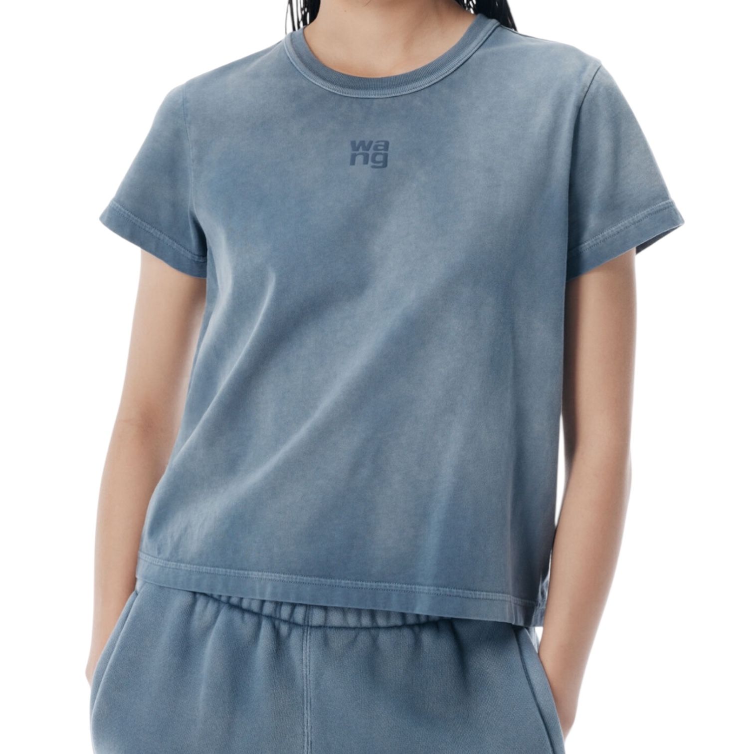 ALEXANDER WANG - コットンジャージーTシャツ / グレー / 25aw