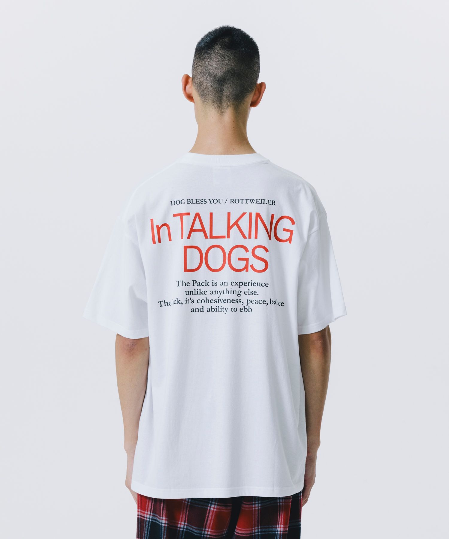 CAL NIGHT PHOTO TEE (WHITE) / フォト プリント Tシャツ