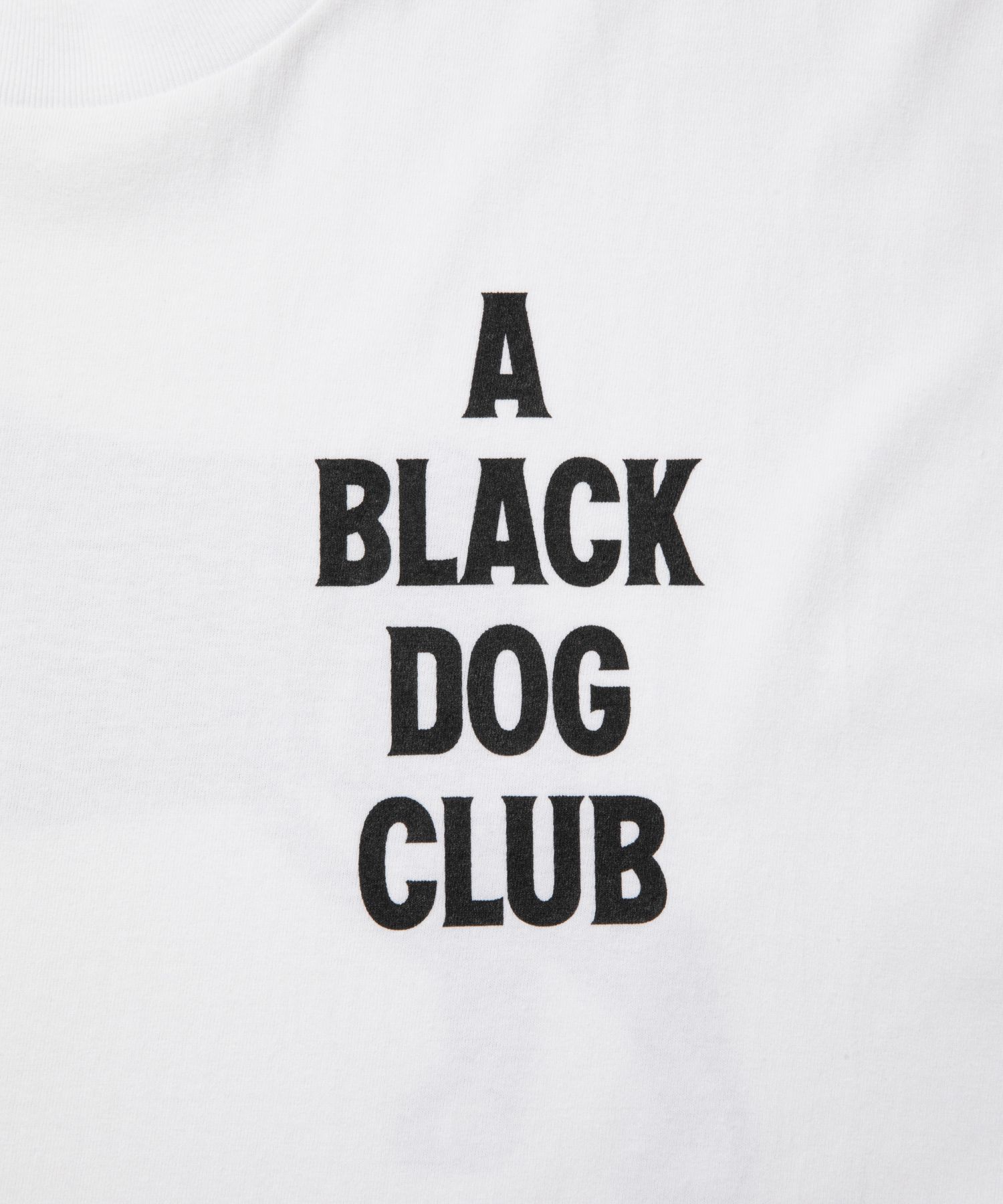 B.D.C TEE (WHITE) / プリント Tシャツ