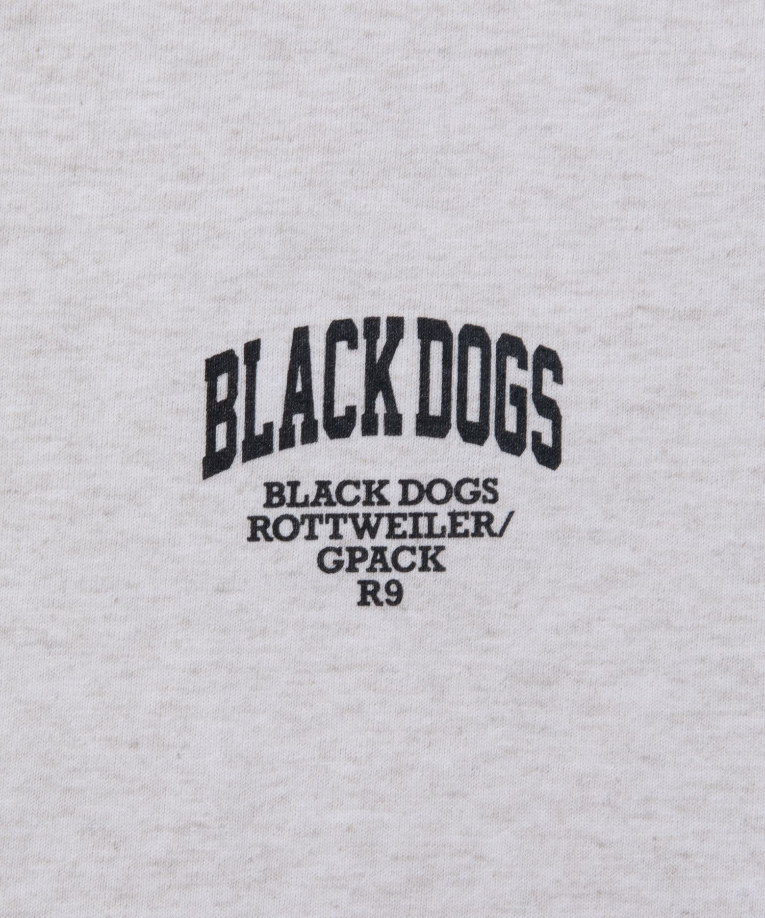 ROTTWEILER - B.D COLLEGE L/S TEE (WHITE) / プリントロンT | LOOPHOLE