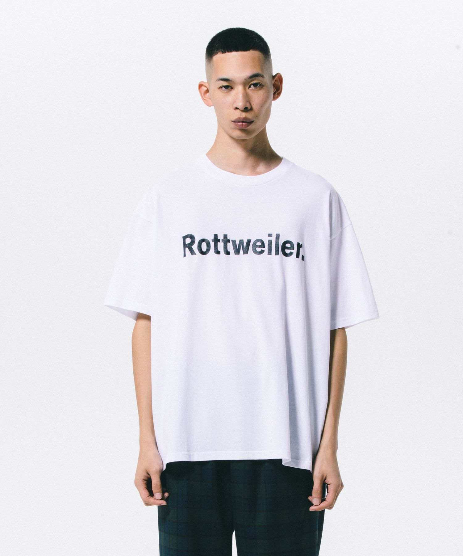 ROTTWEILER - PIGMENT CLASSIC TEE (CHARCOAL) / ピグメント染め プリント Tシャツ | LOOPHOLE