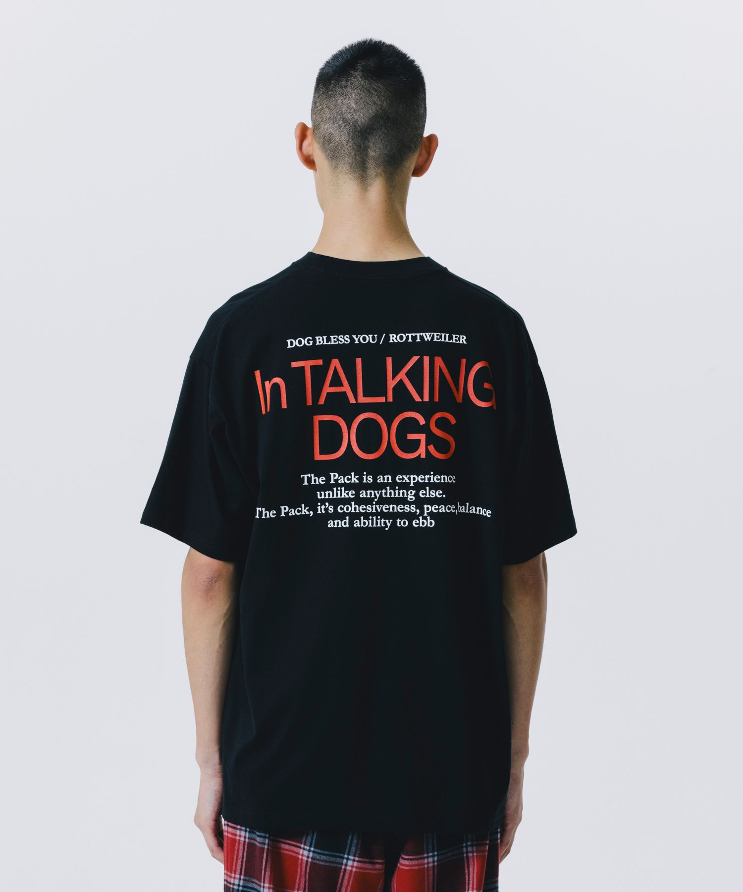 CAL NIGHT PHOTO TEE (BLACK) / フォト プリント Tシャツ