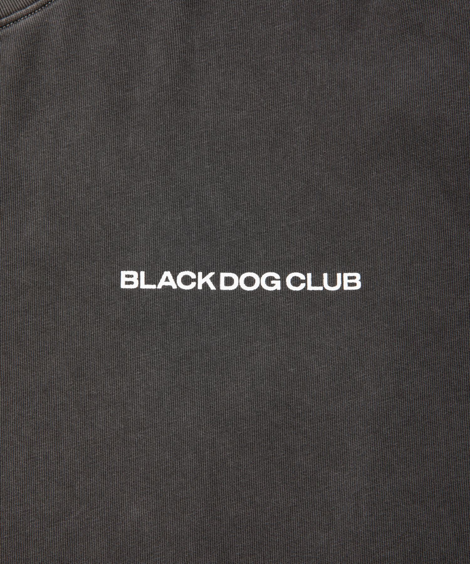 R9 PIGMENT LS TEE (CHARCOAL) /  オリジナル ピグメント Tシャツ