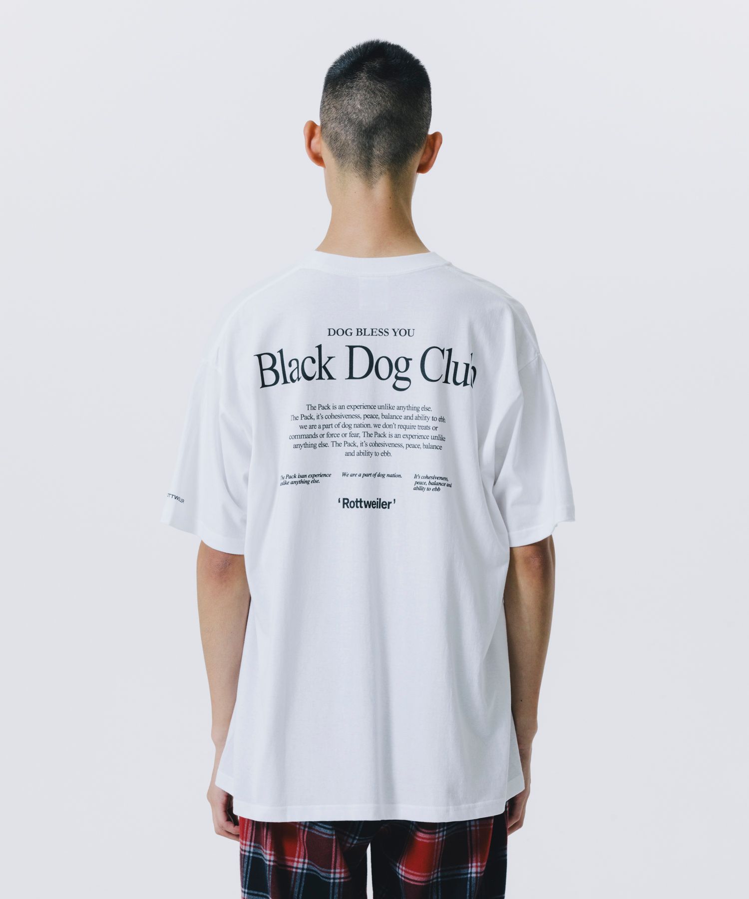 ROTTWEILER - RW TEE (WHITE) / ロゴ プリント Tシャツ | LOOPHOLE