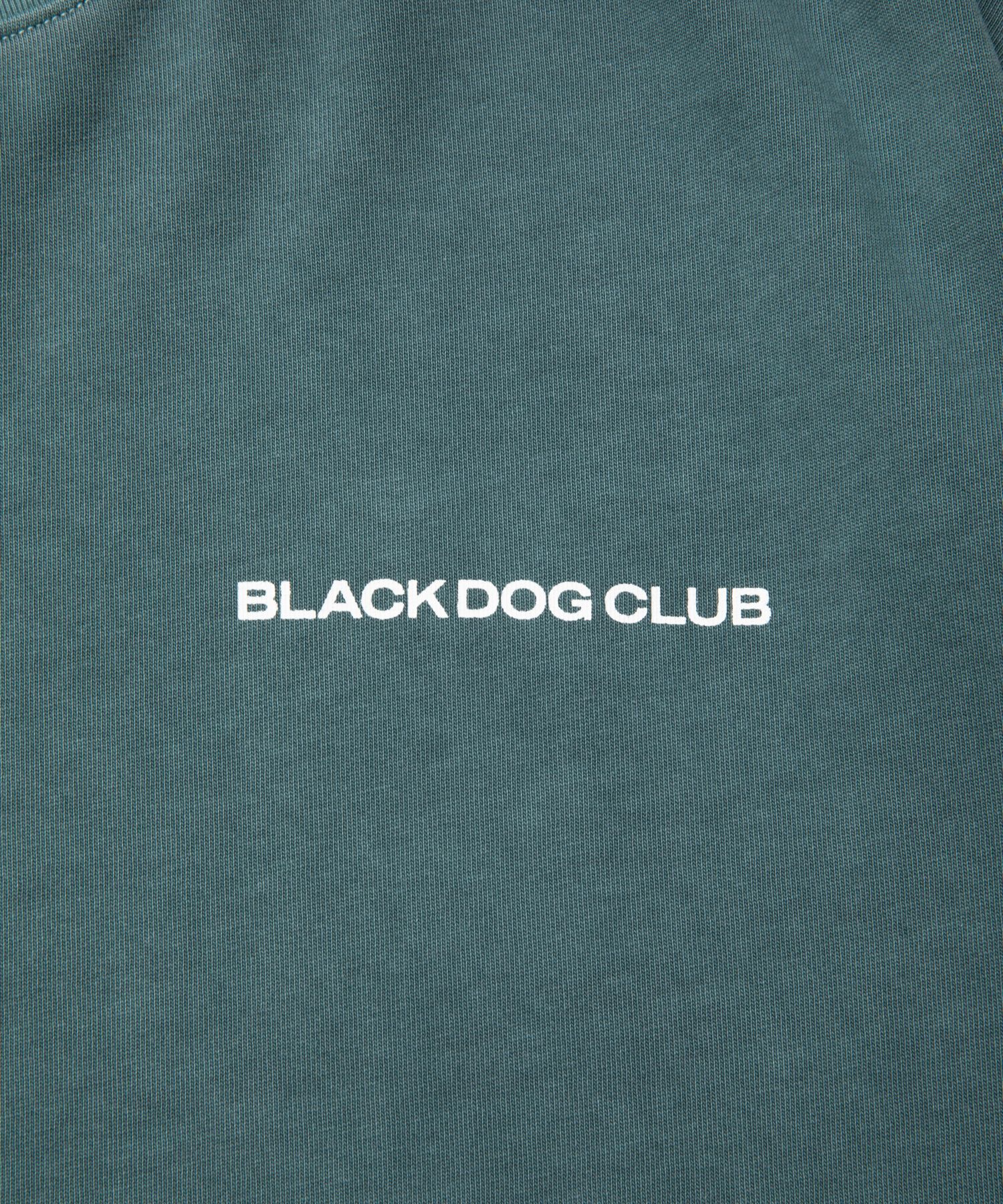 ROTTWEILER - R9 PIGMENT LS TEE (GREEN) / オリジナル