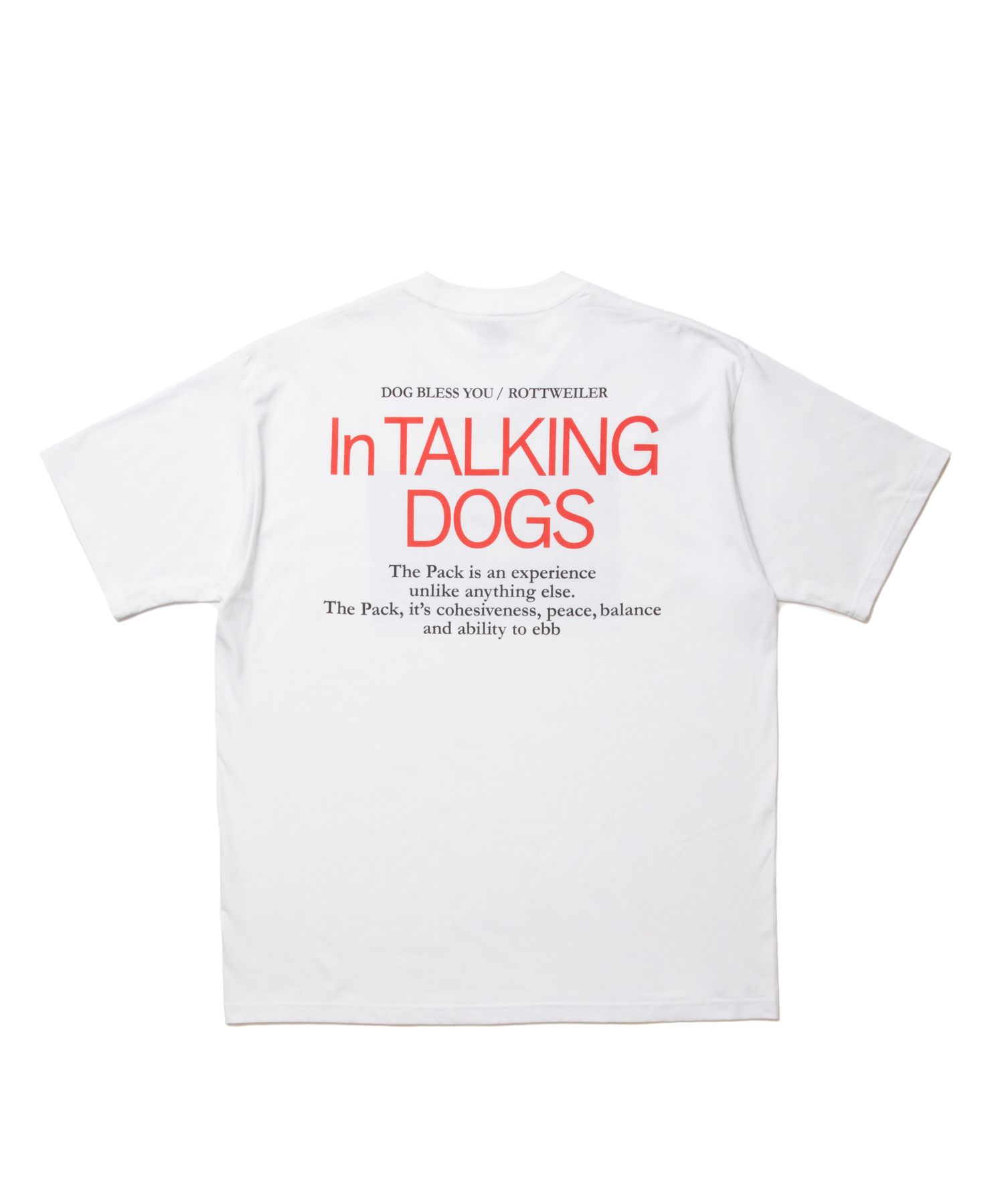 CAL NIGHT PHOTO TEE (WHITE) / フォト プリント Tシャツ