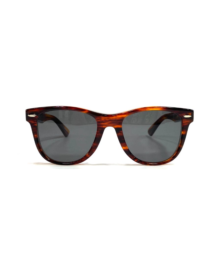 Wellington Type.01 Sunglasses (DBR) / ×金子眼鏡 ウェリントンタイプ サングラス