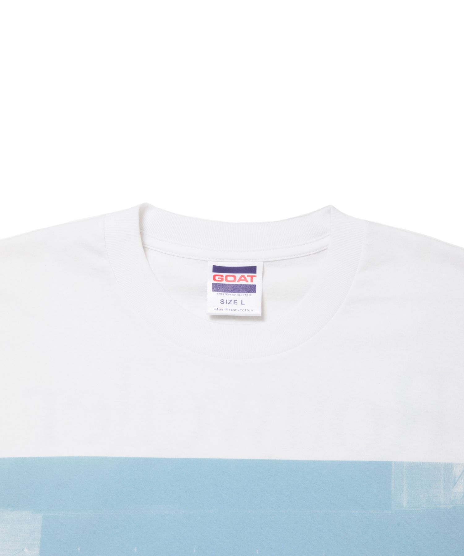 AMERICAN PHOTO TEE (SAX) / フォト プリント Tシャツ