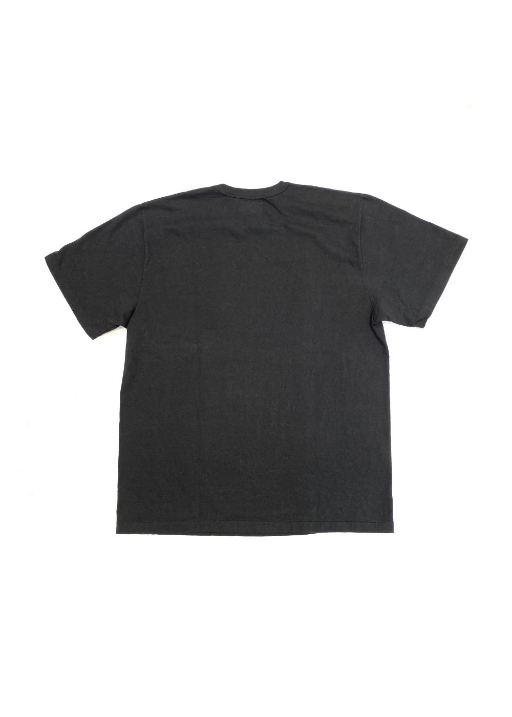 GARMENT DYE SNAKE LOGO TEE ＜BARTHDAY WORKS DESIGN＞ (INK BLACK) / ×バースデイワークス コラボ Tシャツ