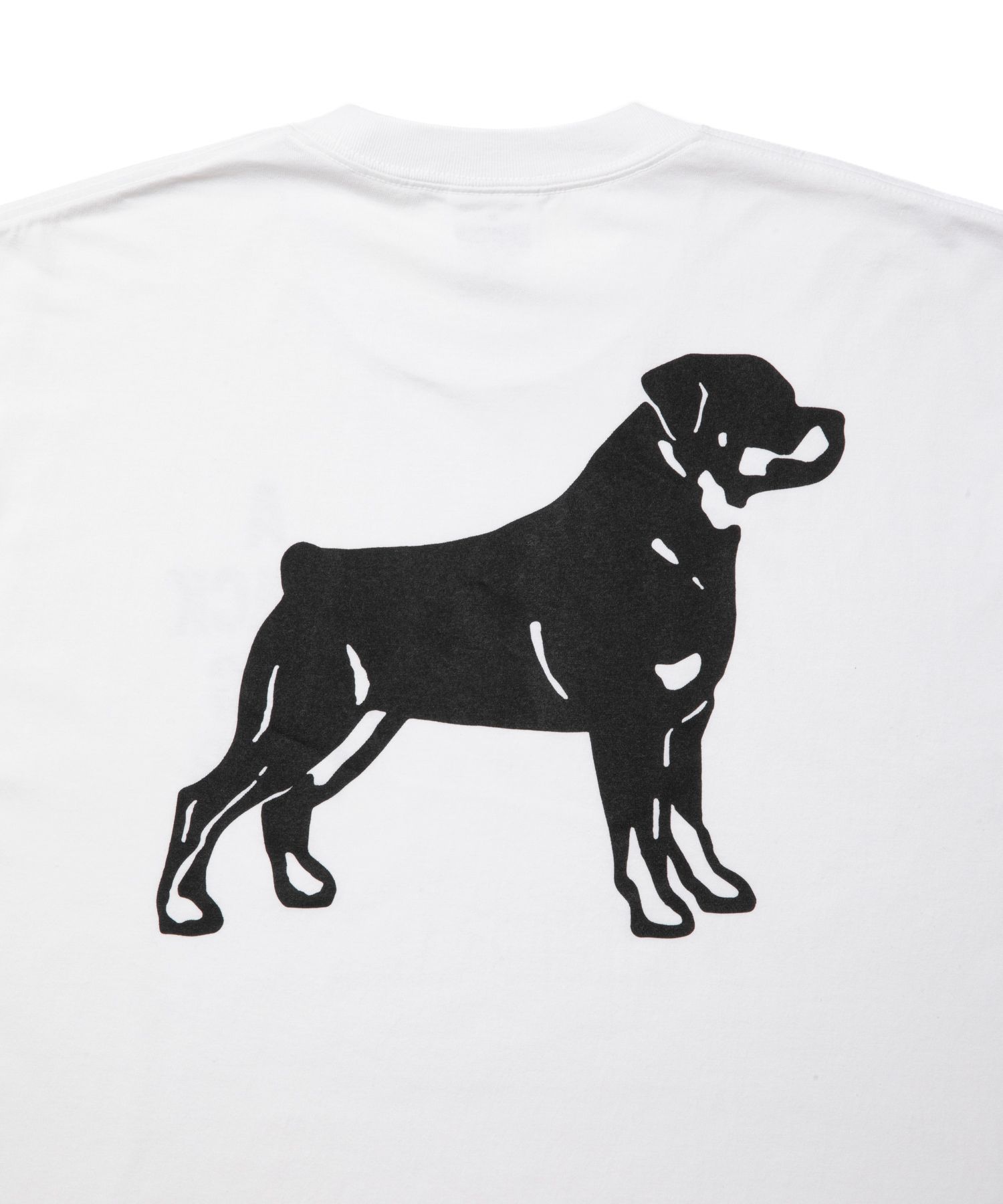 B.D.C TEE (WHITE) / プリント Tシャツ