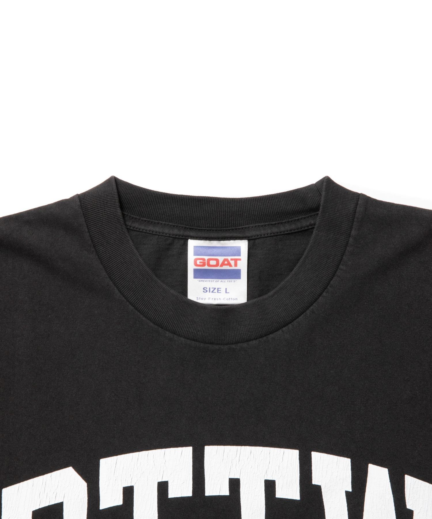 ROTTWEILER - RTTW PIGMENT TEE (CHARCOAL) / カレッジロゴ
