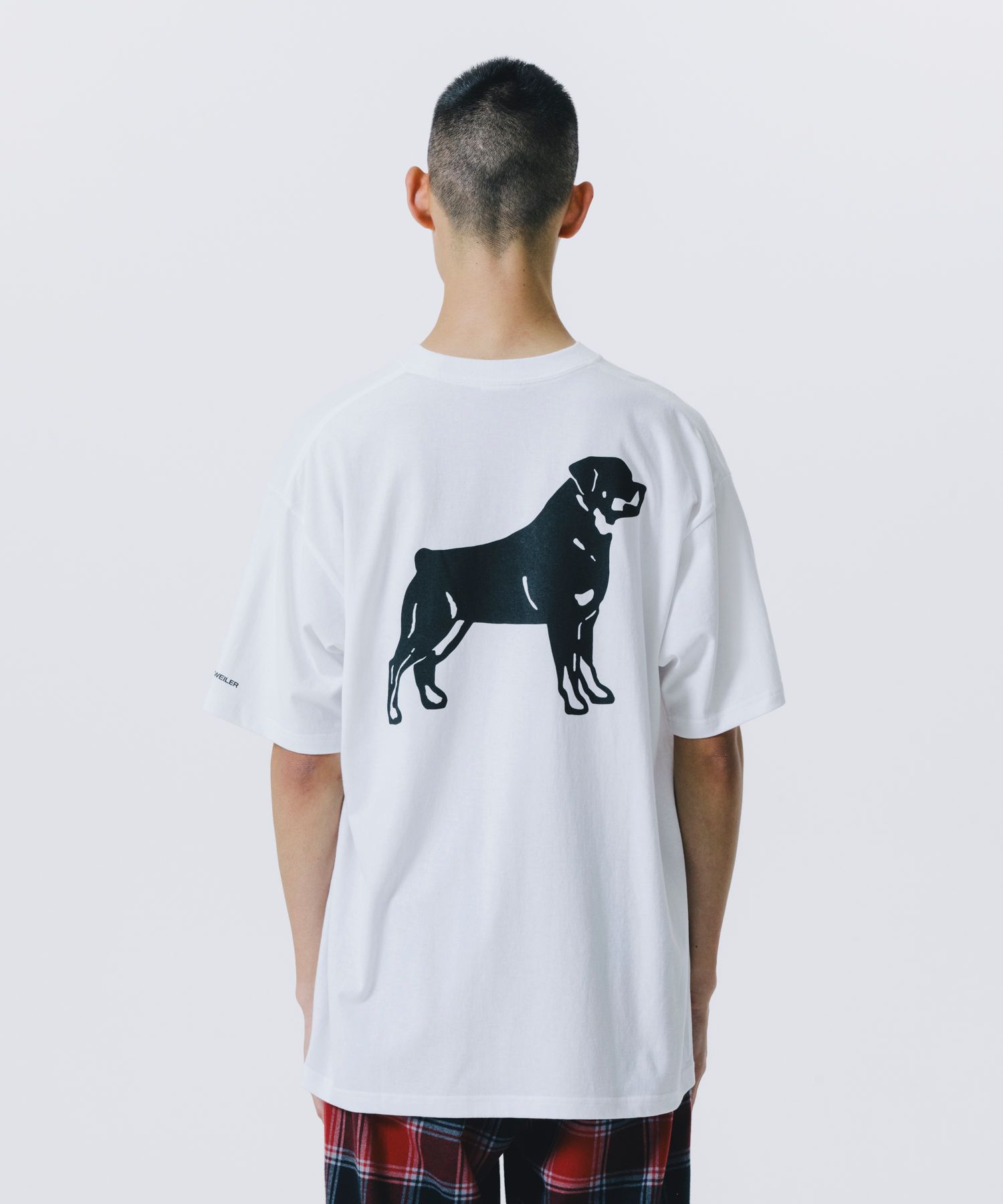 B.D.C TEE (WHITE) / プリント Tシャツ