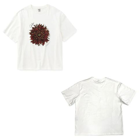 CALEE 新作販売告知 / グラフィックアーティスト"MIHO MURAKAM"とのコラボアイテムが登場！