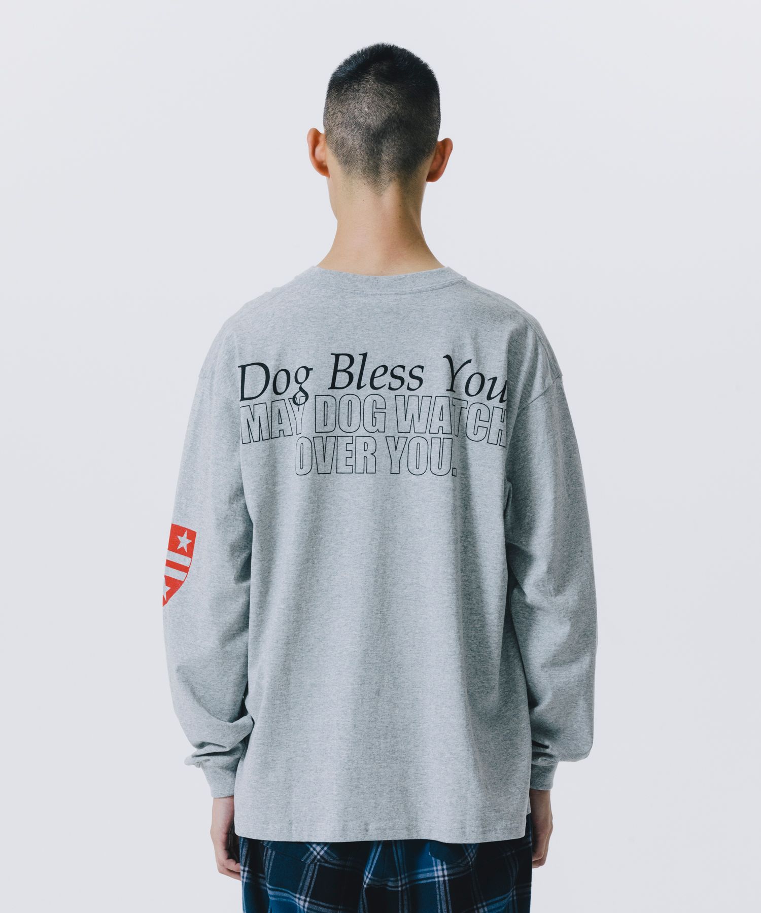 ROTTWEILER - DOG PHOTO LS TEE (GRAY) / フォト プリント T