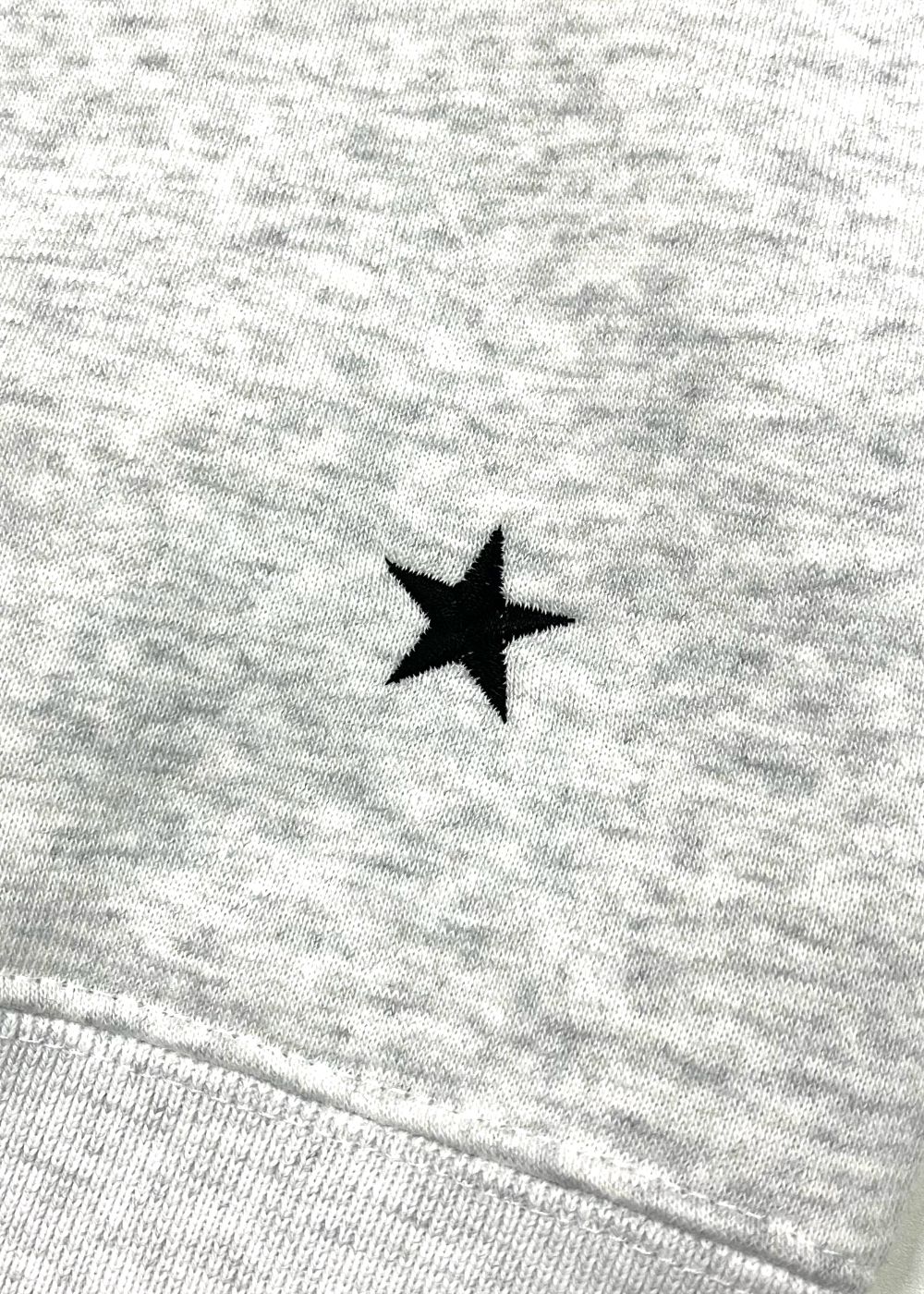 Logo Hoodie (ASH) / ロゴ プリント スウェットパーカー