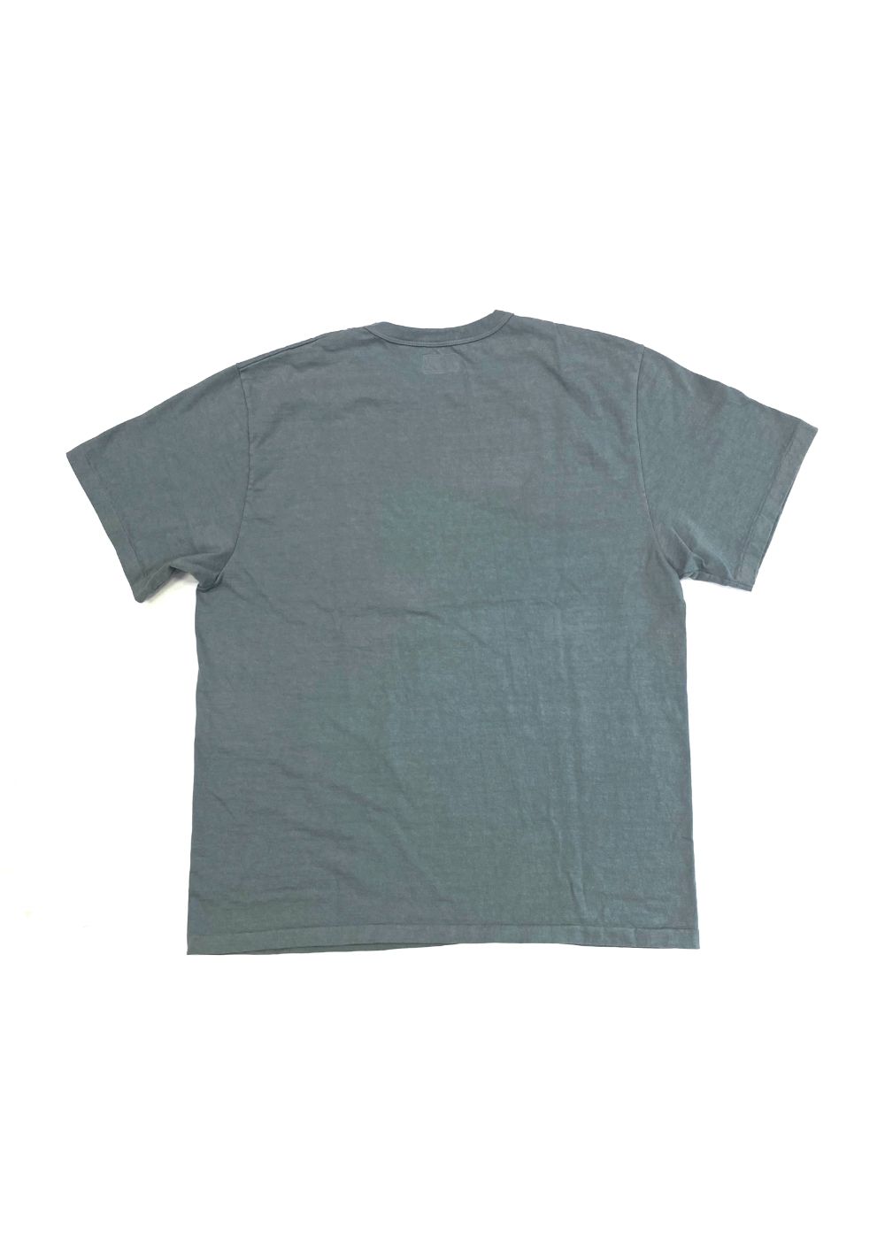 GARMENT DYE SNAKE LOGO TEE ＜BARTHDAY WORKS DESIGN＞ (GREEN GRAY) / ×バースデイワークス コラボ Tシャツ