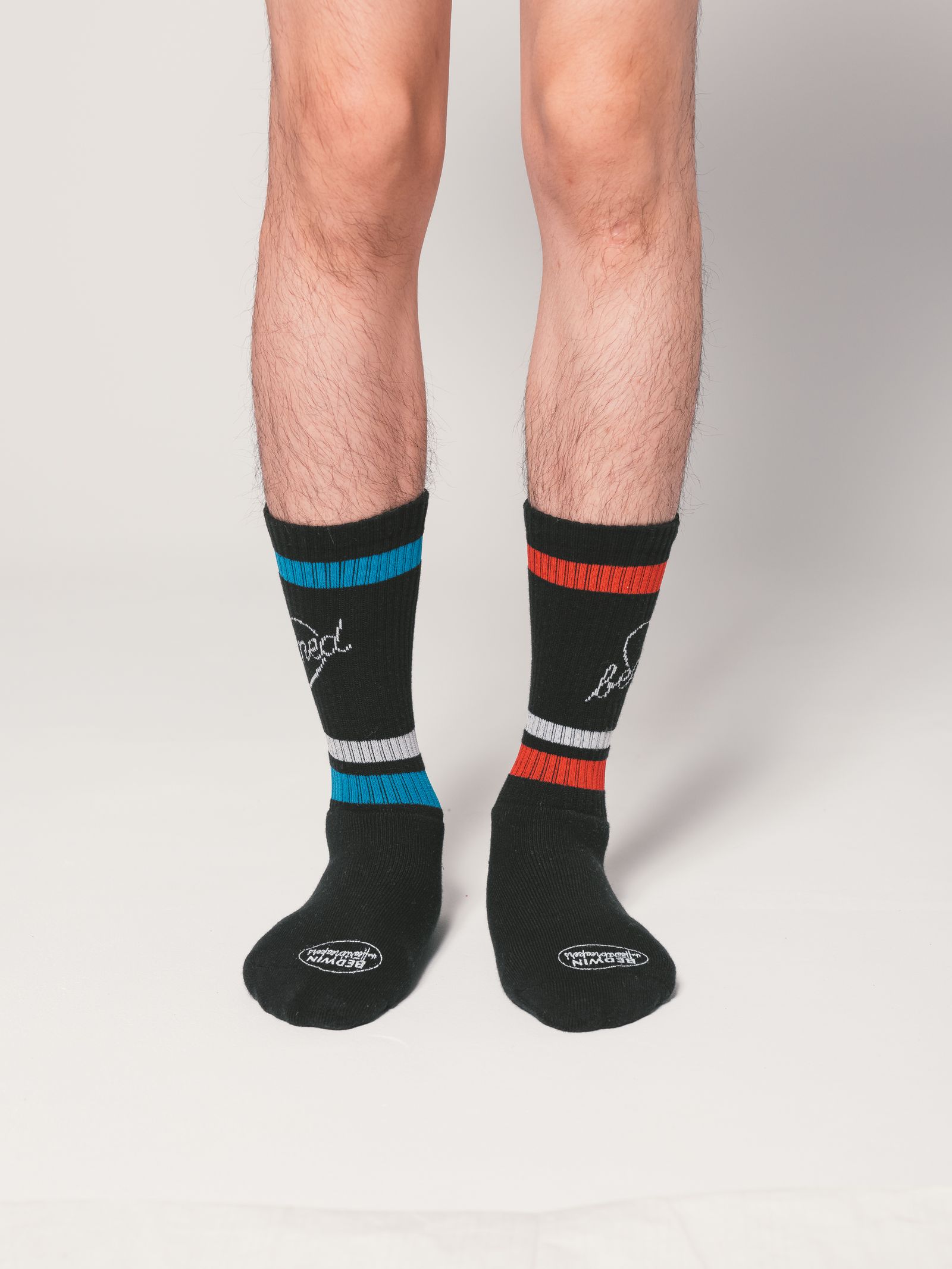 J.ANDRE Ex.2pcs PACK SOCKS "LARRY" (MIX) / ×ジャン アンドレ コラボ 2パック ソックス