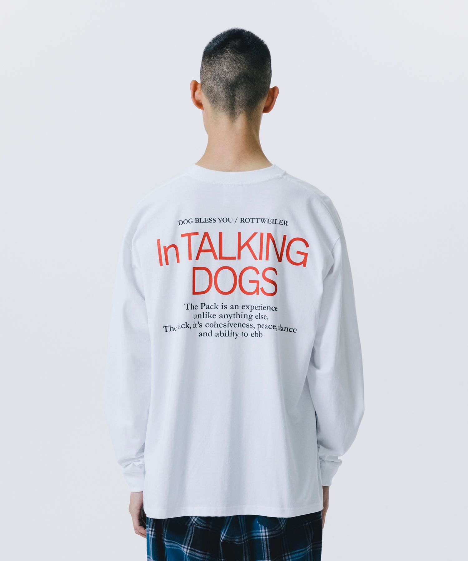 CAL NIGHT LS PHOTO TEE (WHITE) / フォト プリント Tシャツ