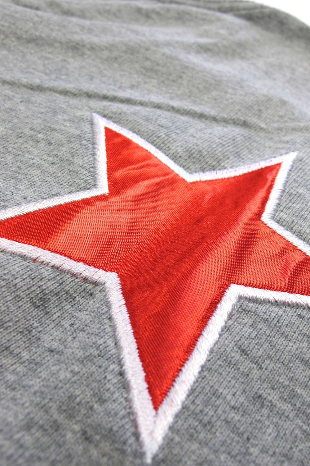 LIR BASIC STAR T (GRAY) / アンライバルド コラボT