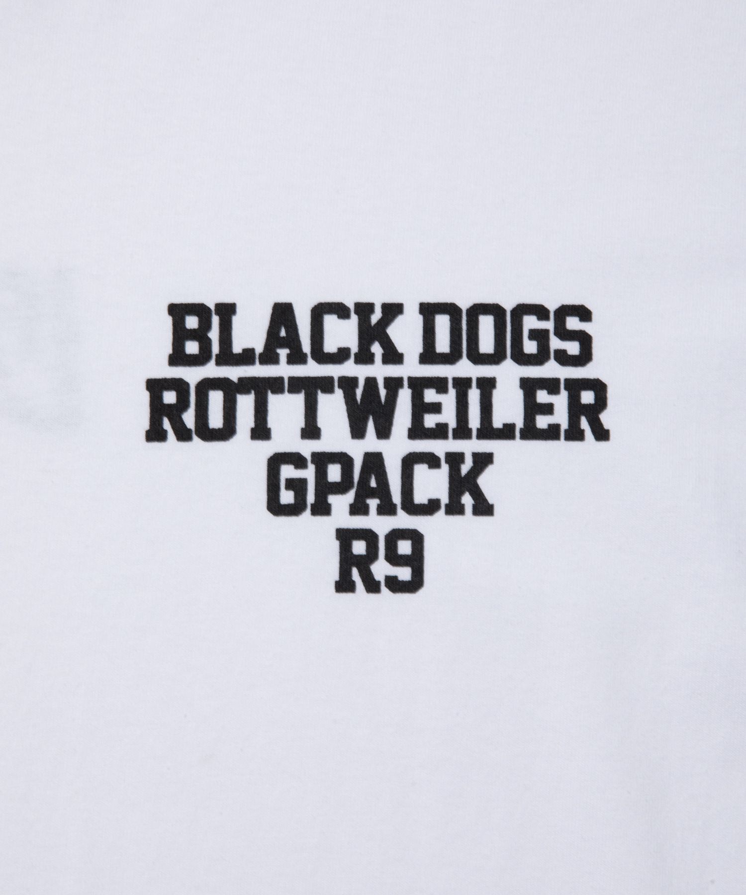 ROTTWEILER - COLLEGE RW L/S TEE (BLACK) / プリントロンT | LOOPHOLE