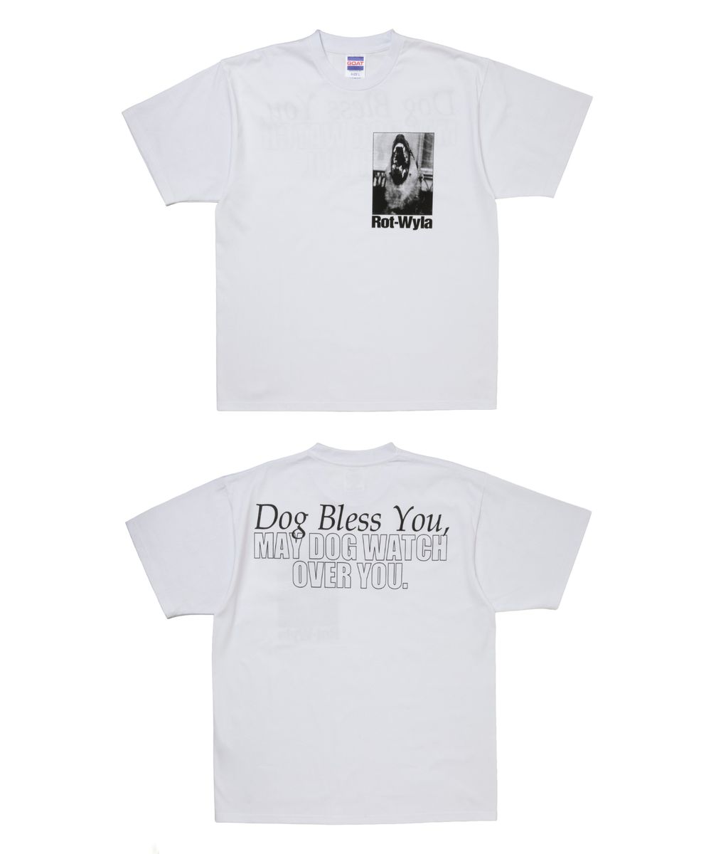 ROTTWEILER 新作販売告知 / 25'秋冬入荷第一弾は存在感のある半袖Tシャツ。