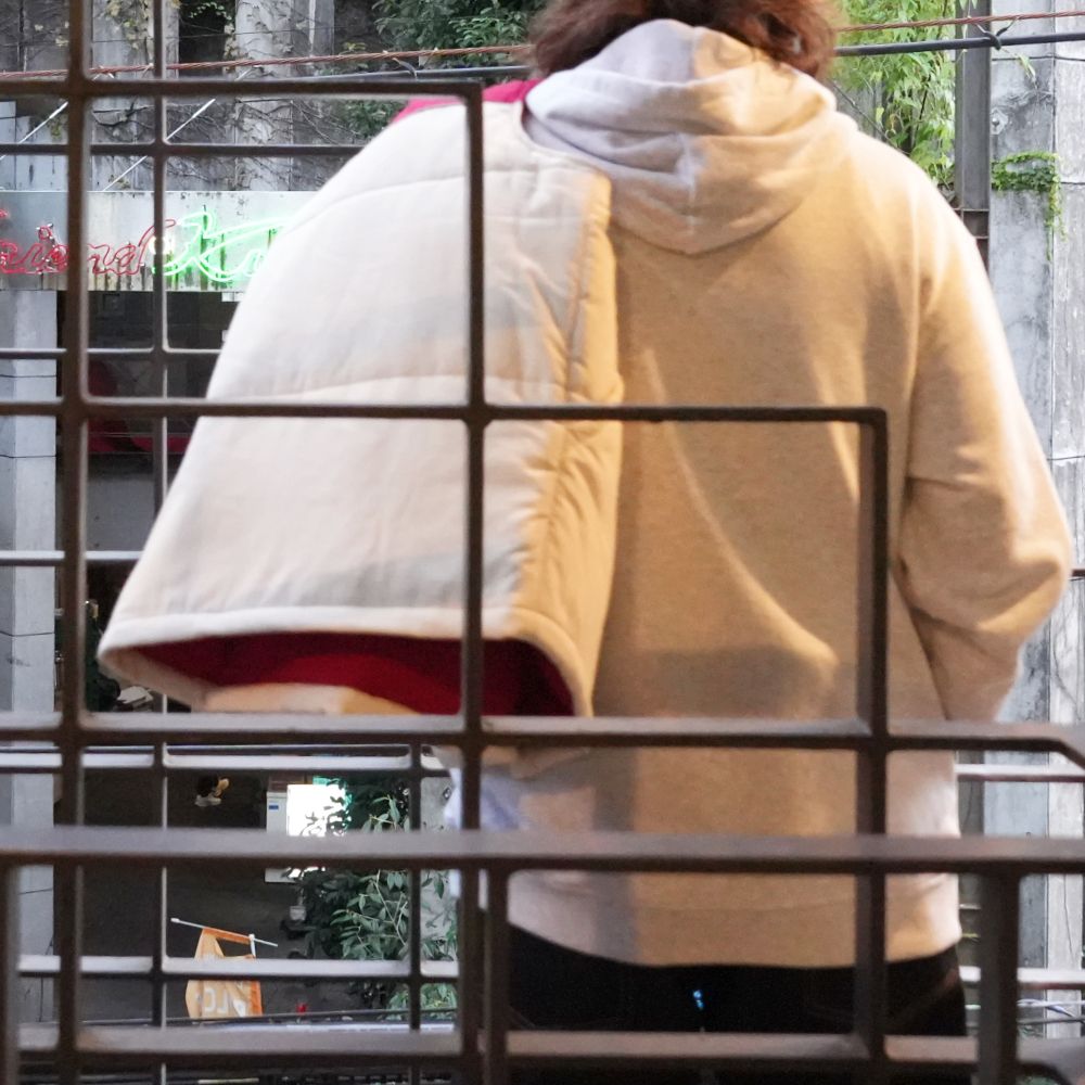 SCRIPT COLLEGE HOODIE (ASH) / カレッジロゴ スウェットパーカー