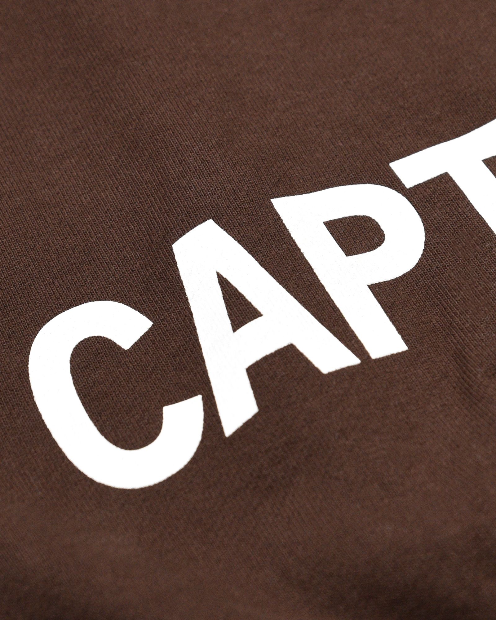 TM LOGO HOODIE (BROWN) / ロゴ プリント スウェット パーカー