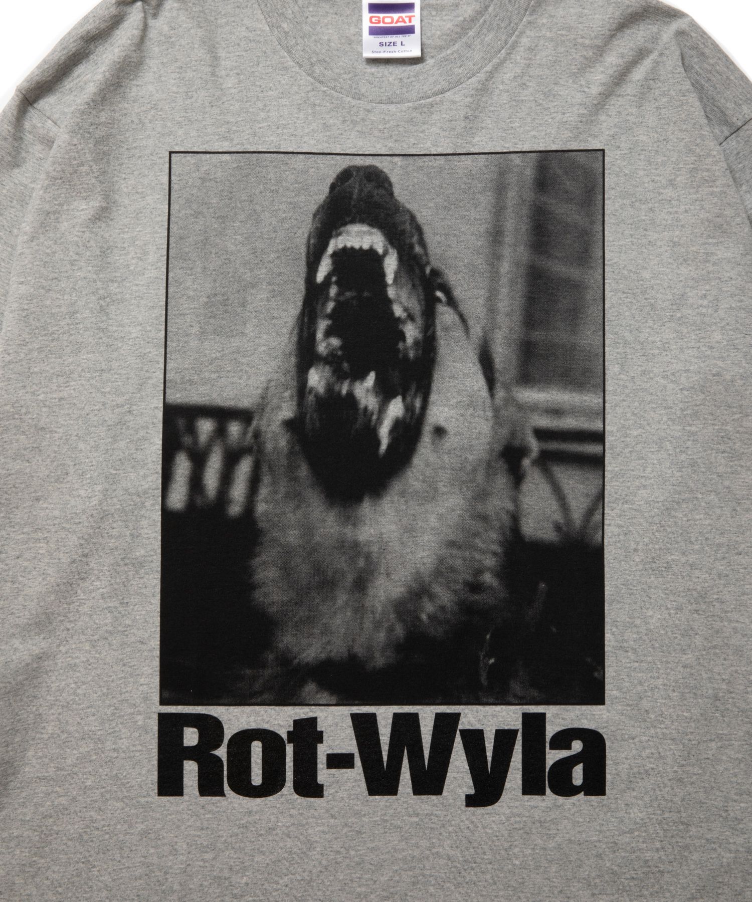 ROTTWEILER - DOG PHOTO LS TEE (GRAY) / フォト プリント T
