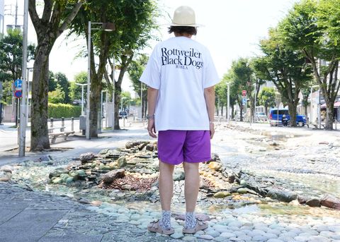 2026 Photo Tee Collection