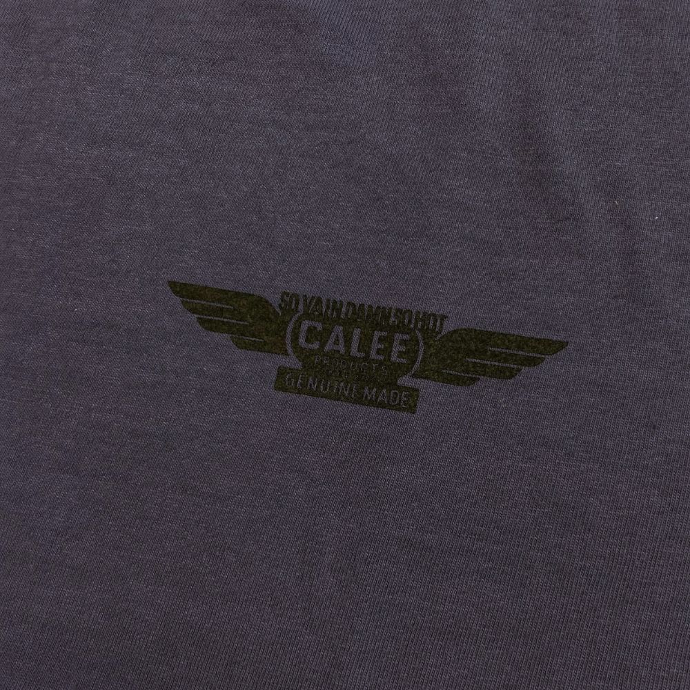 BINDER NECK WING LOGO VINTAGE TEE ＜NATURALLY PAINT DESIGN＞ (DARK PURPLE) / ×ナチュラリーペイント コラボ Tシャツ