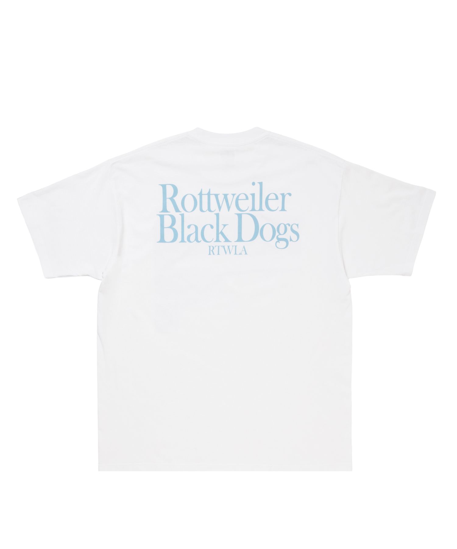 AMERICAN PHOTO TEE (SAX) / フォト プリント Tシャツ