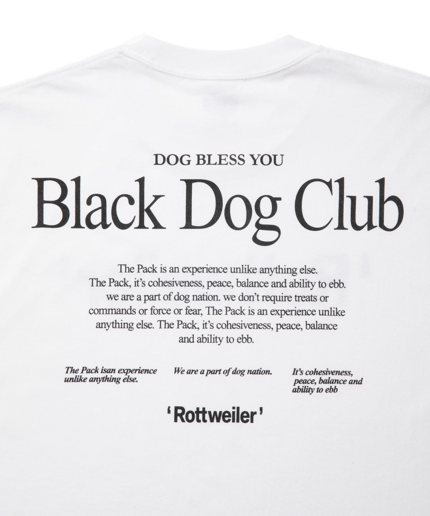 RW TEE (WHITE) / ロゴ プリント Tシャツ