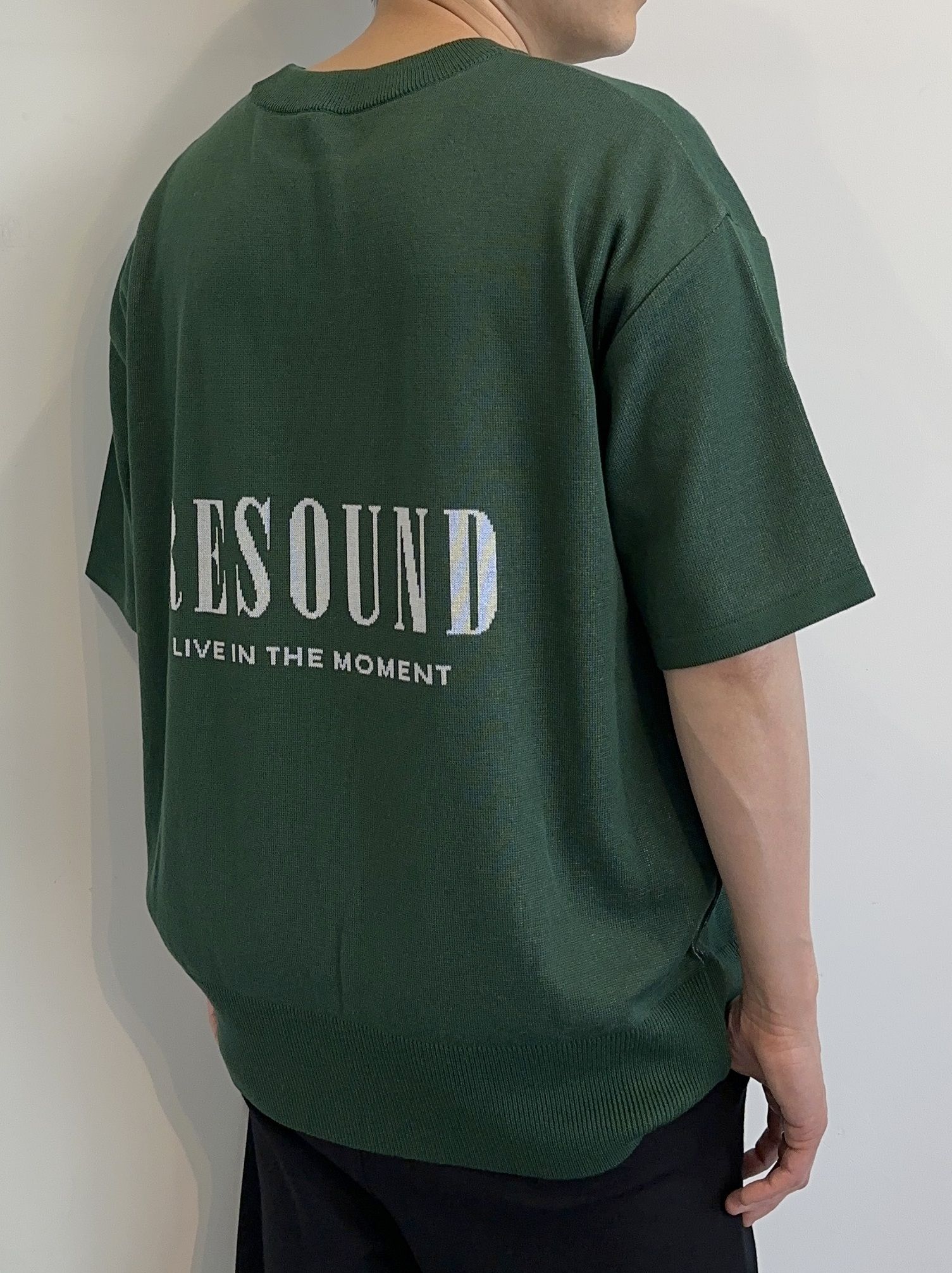 BACK ROGO HALF KNT / RC28-K-002 / バックロゴルーズ半袖サマーニット / グリーン※