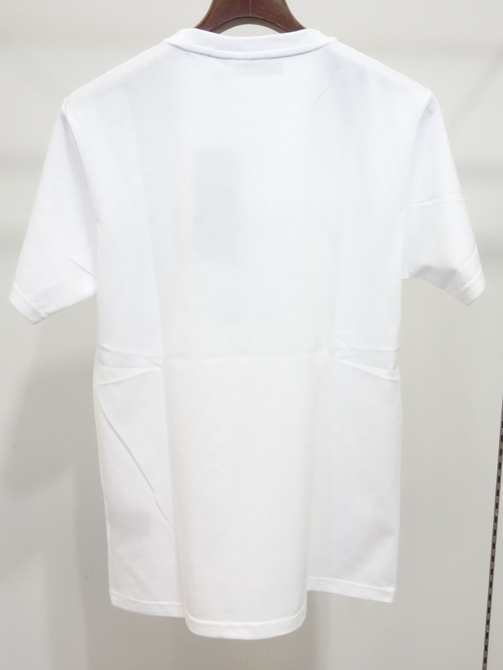 COLOR BOX LOGO TEE / TNS1724J / プリントTシャツ