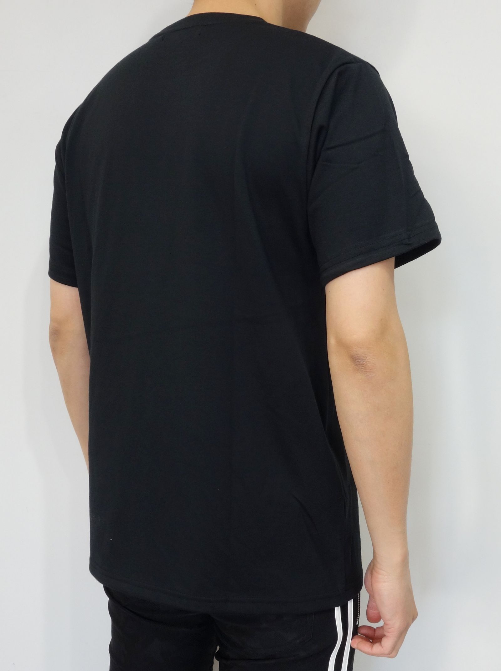 PAISLEY BOX LOGO TEE / TNS1733J / プリントTシャツ