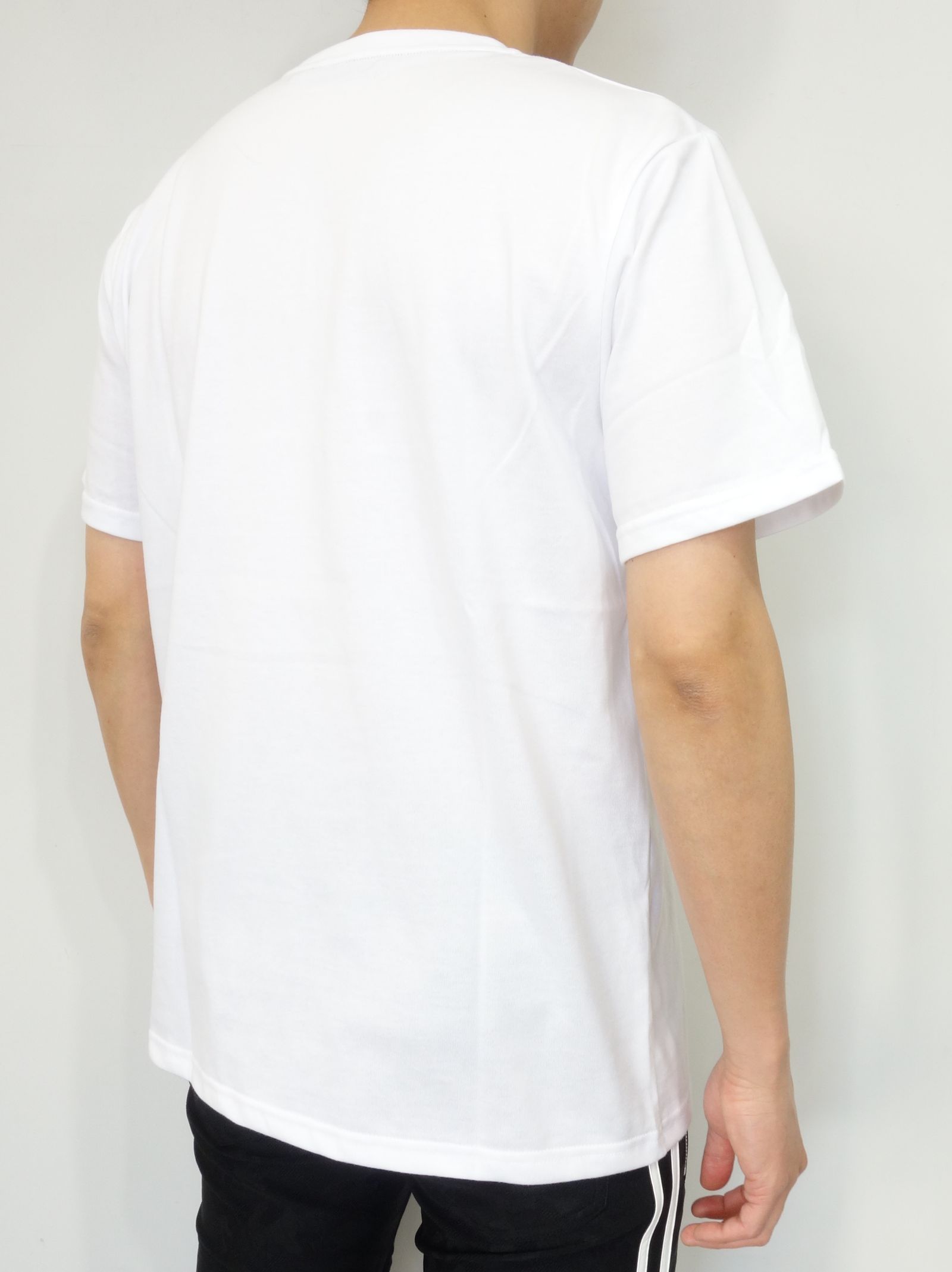PAISLEY BOX LOGO TEE / TNS1733J / プリントTシャツ