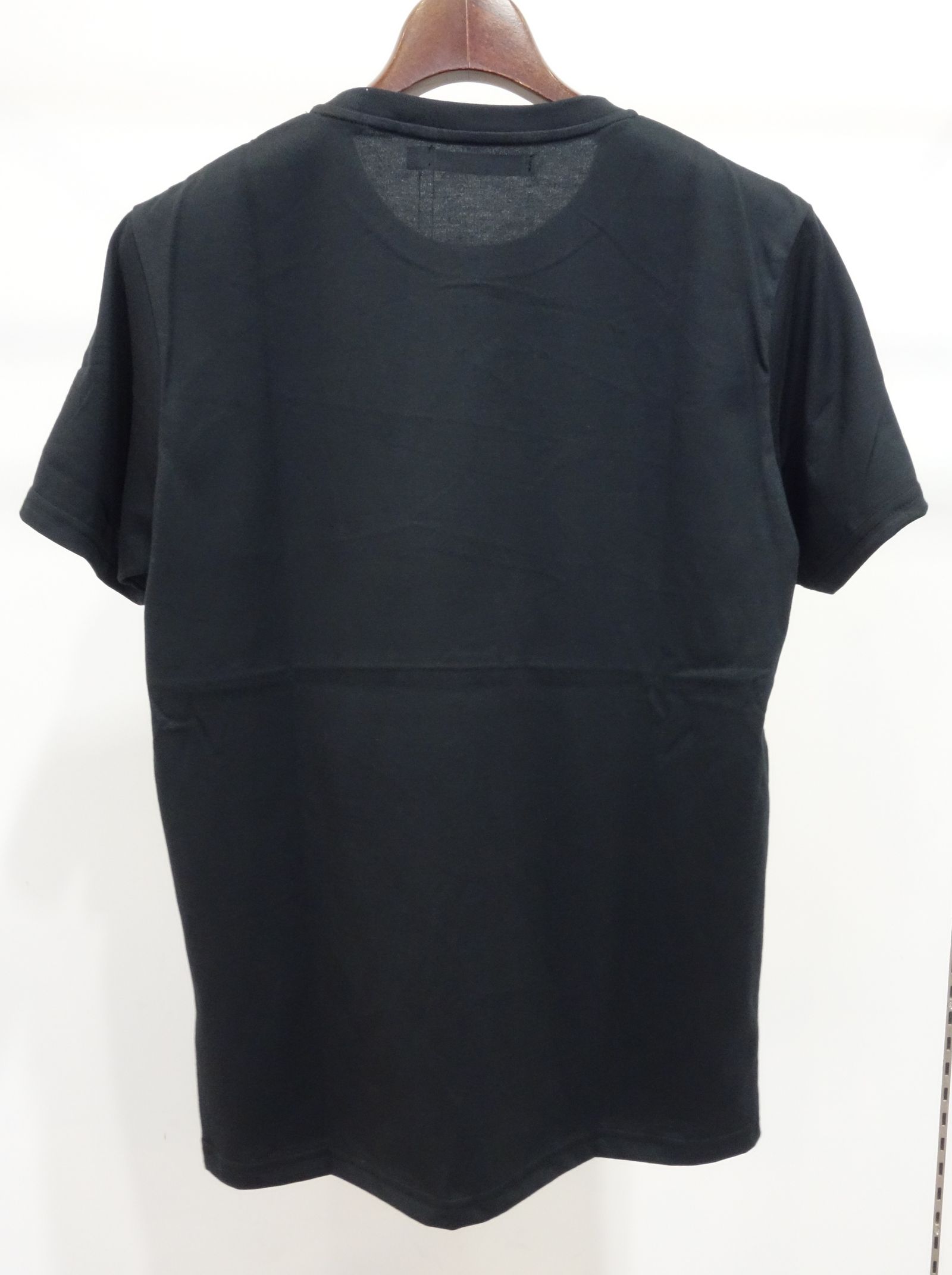 PAISLEY BOX LOGO TEE / TNS1733J / プリントTシャツ