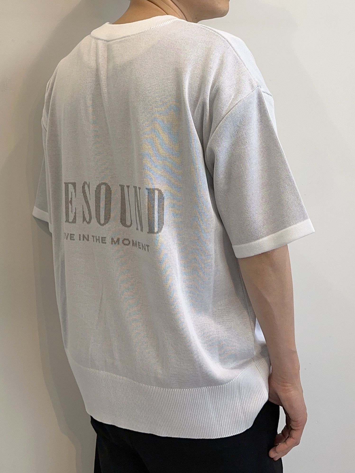 BACK ROGO HALF KNT / RC28-K-002 / バックロゴルーズ半袖サマーニット / ホワイト