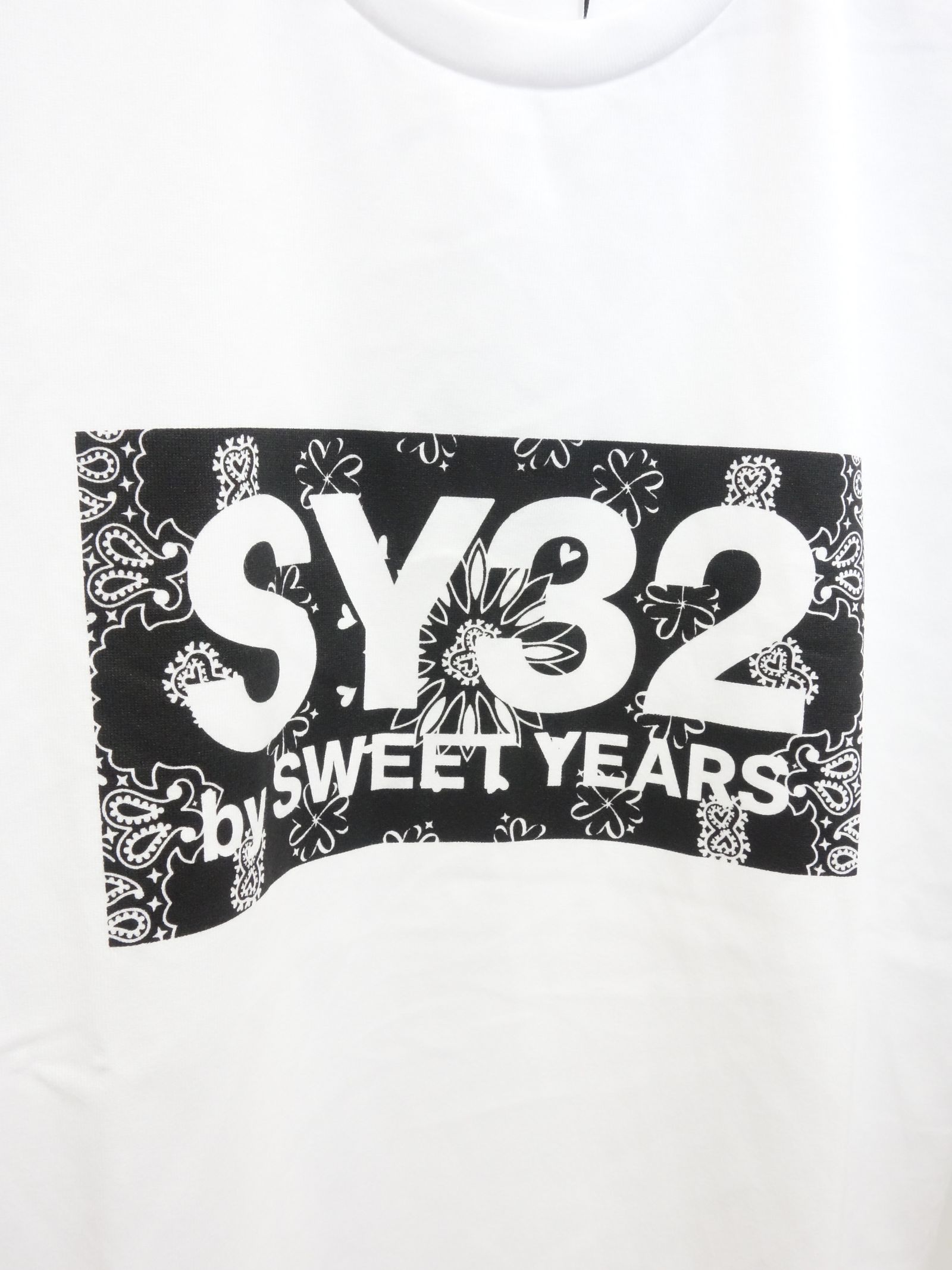 PAISLEY BOX LOGO TEE / TNS1733J / プリントTシャツ