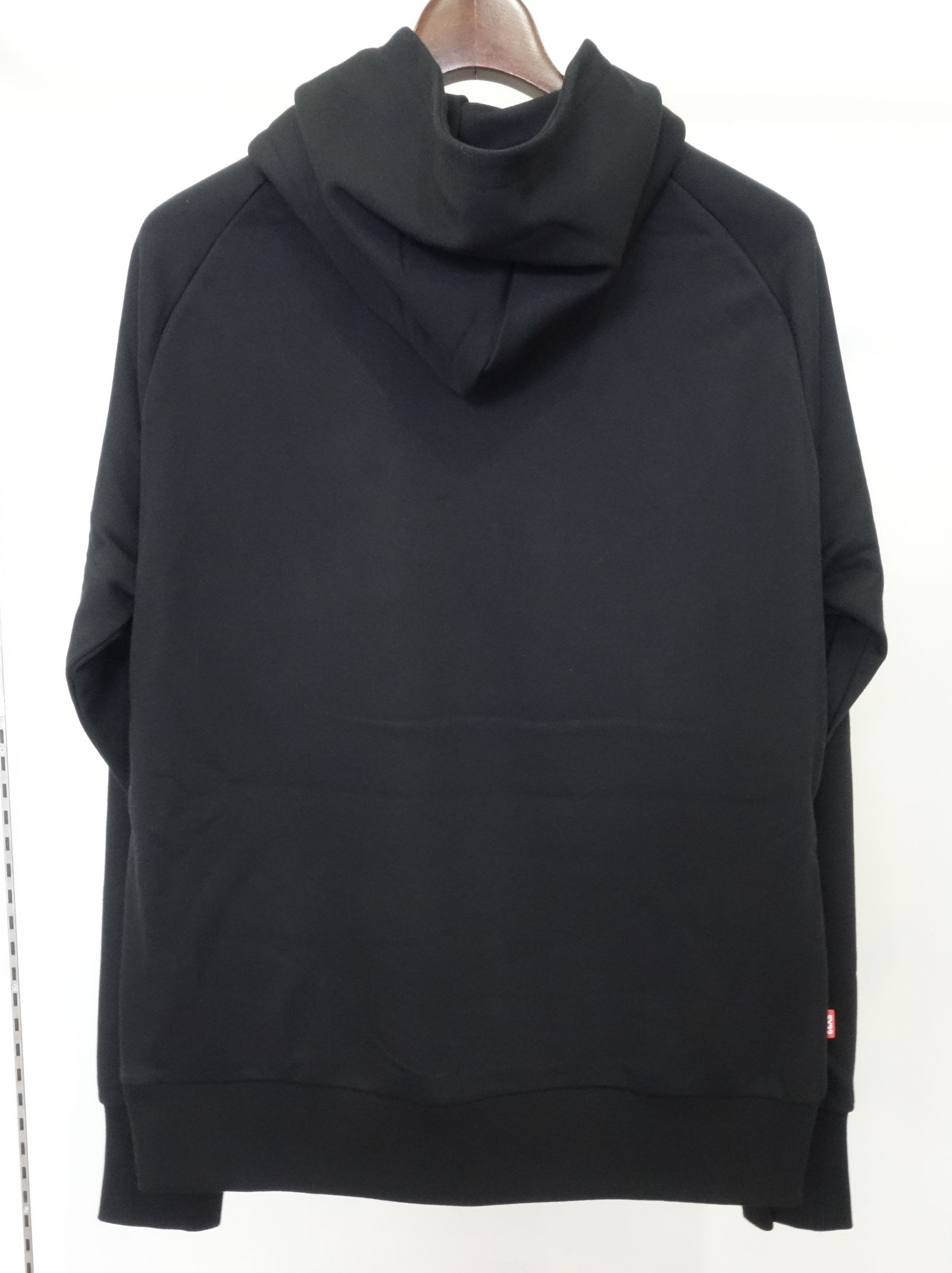 REGULAR P/O HOODIE / TNS1704 / パーカー