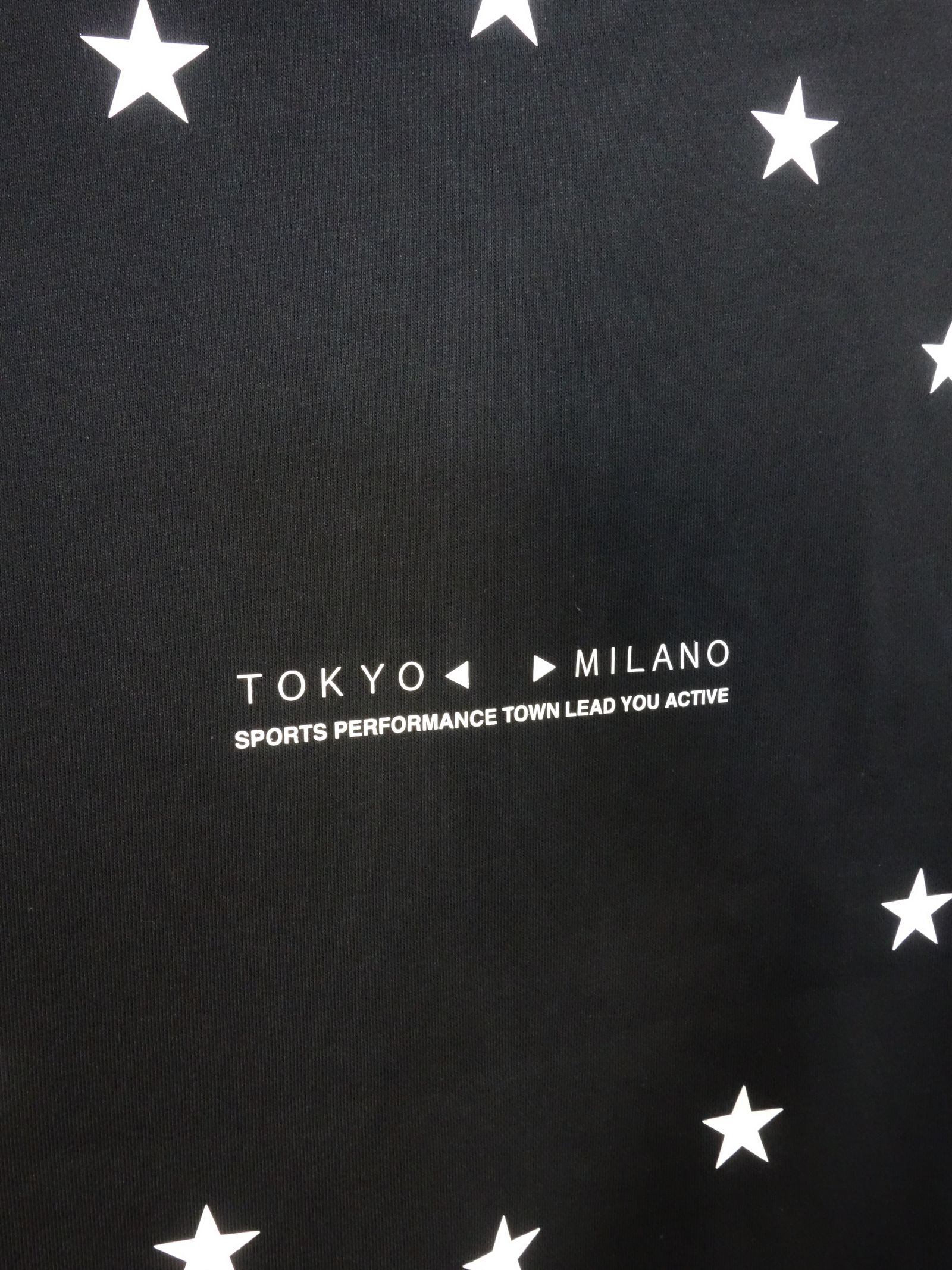 WORLD STAR P/O HOODIE / TNS1716 / パーカー