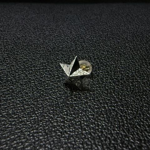 ファーストスターピアス / VLE055W