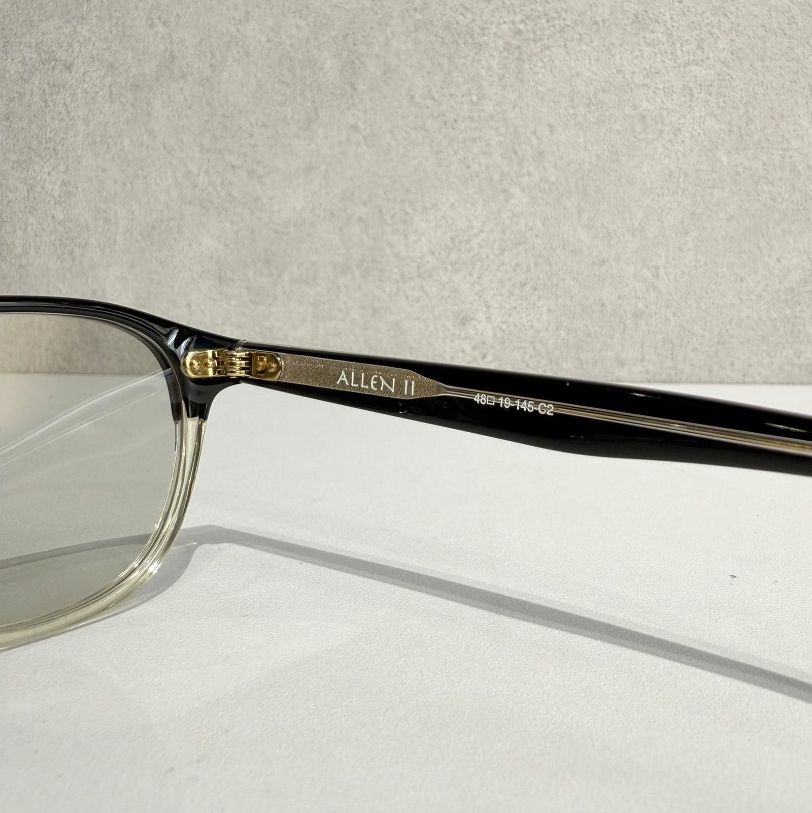 NEW. ALLEN II C-2 / サングラス / ブラック×クリア