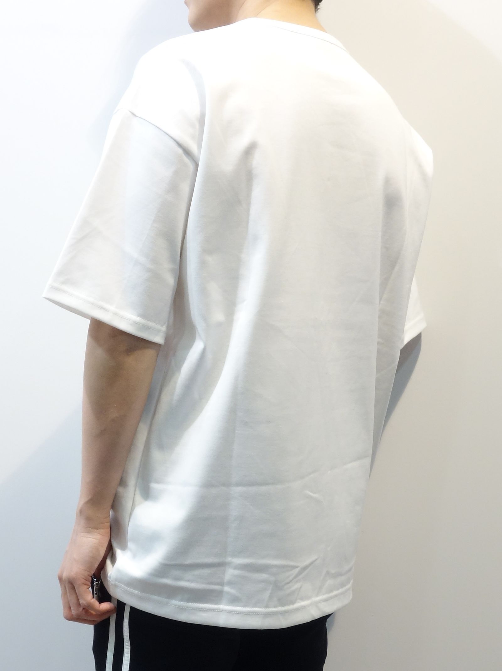 WEST BEACH PHOTO LOOSE TEE / RC23-T-002 / フォトプリントビッグTシャツ※