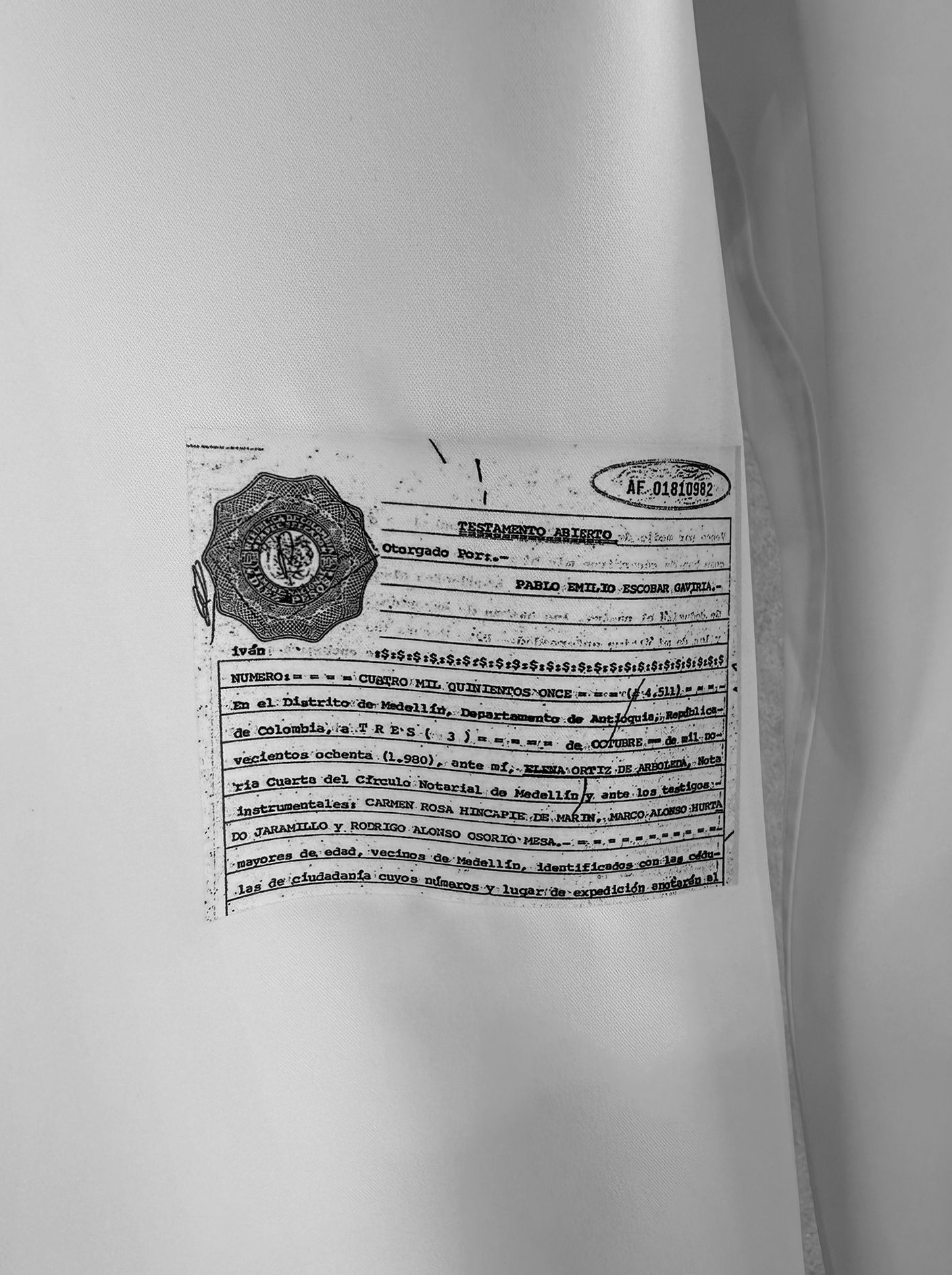 WILL SHIRTS / DP1-SH-001 / ウィルプリントオープンカラーシャツ / ホワイト