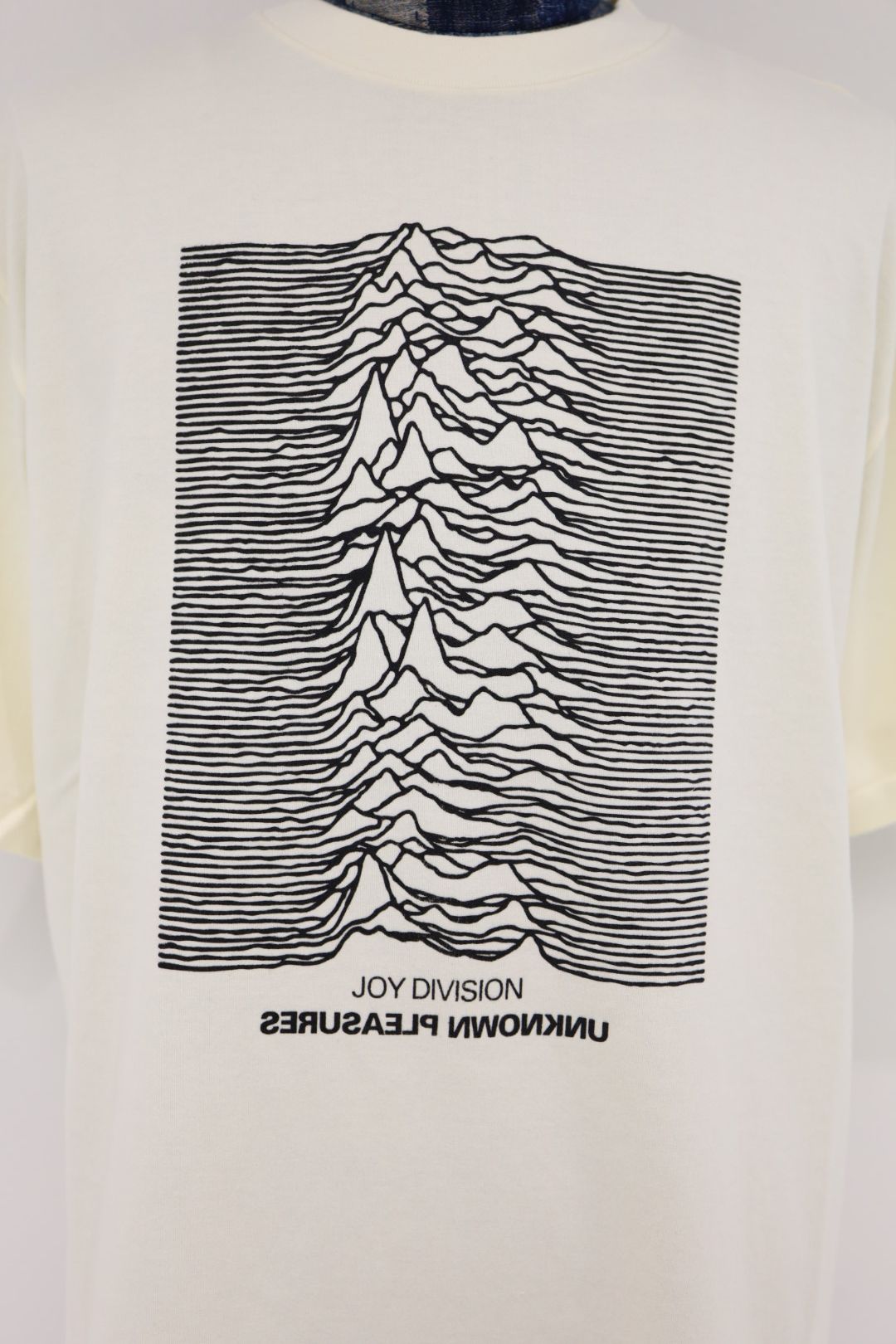 blurhms ROOTSTOCK ブラームスルーツストック 26SS JD UNKNOWN PLEASURES Invert WIDE(bROOTS25S34S26JD001)IVORY ☆4月29日(水)新作発売！