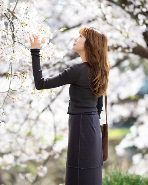 Product Twelve 新作C/N Rib Cropped Button Up Top style.2026.4.5