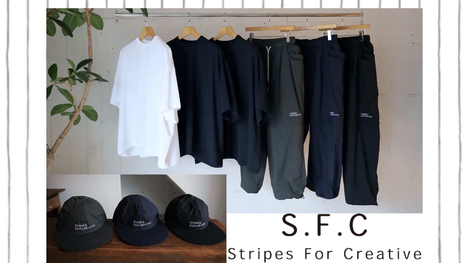 Stripes For Creative (S.F.C) - ストライプ フォー