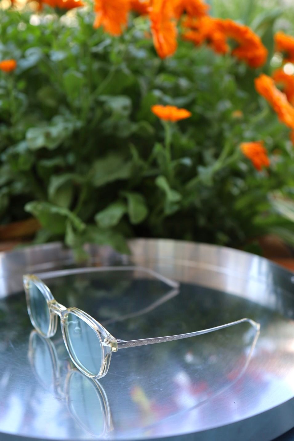 ノチノオプティカル  "JIFUSAN" #5. CITRON x SILVER × L.SMOKE GREEN(調光モデル)☆4月18日(土)再入荷！